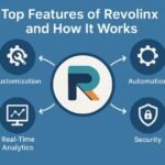 Revolinx: The Timeless Style Icon Reimagined for Today