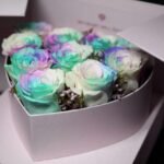 Understanding Rosboxar: Definition, Trends, and Practical Insights