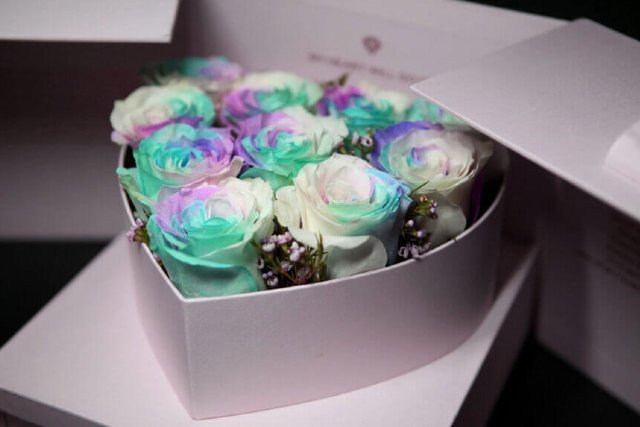 Understanding Rosboxar: Definition, Trends, and Practical Insights