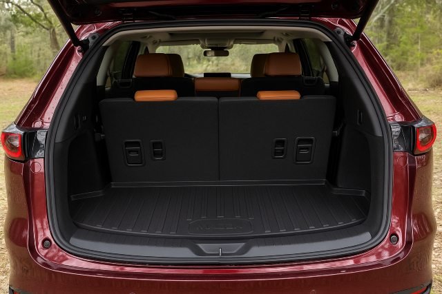 Trey Gowdy’s Nose: What Really Happened? Truth & Speculation